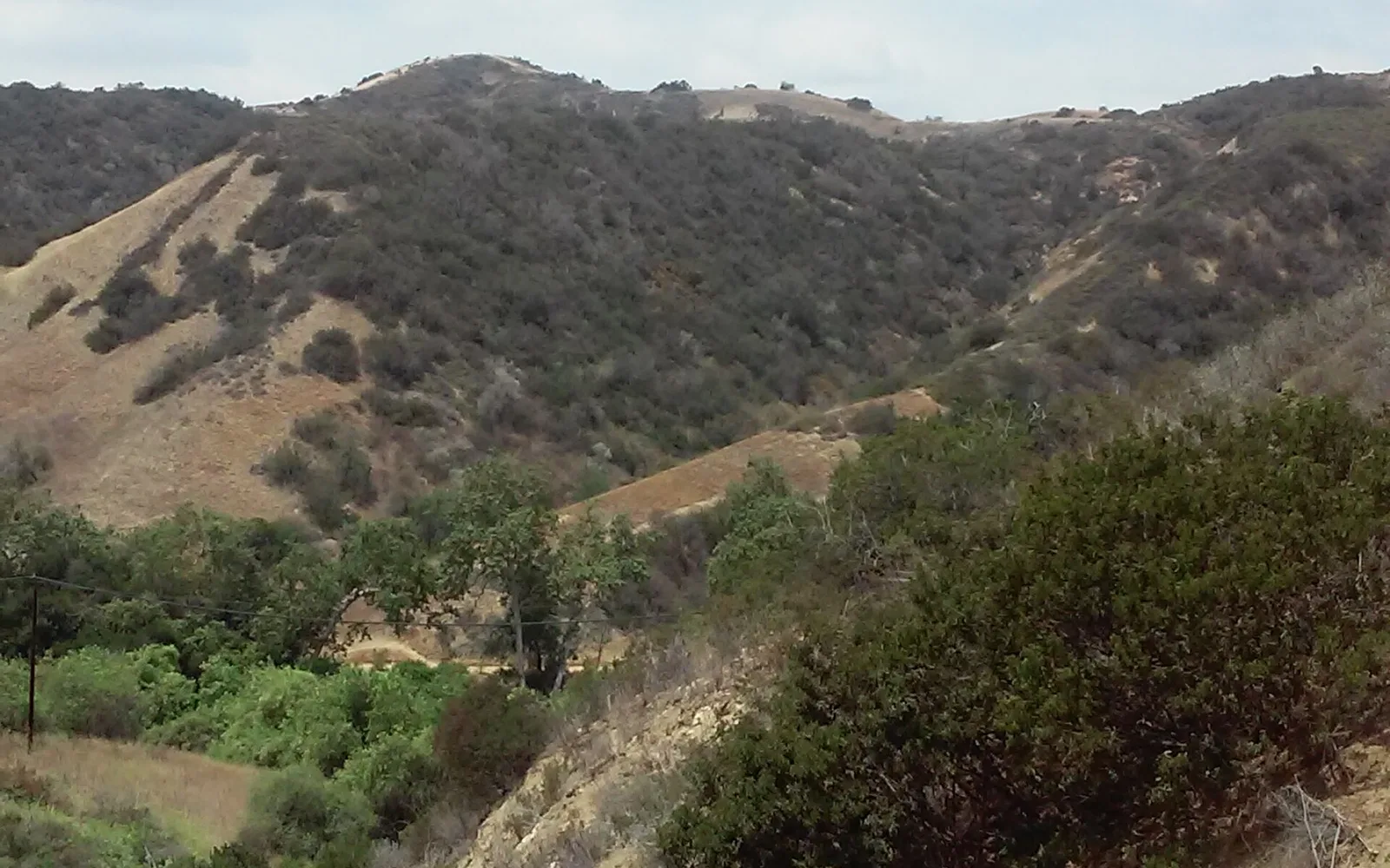 Turnbull Canyon in the Puente Hills, viewed from Skyline Circle.