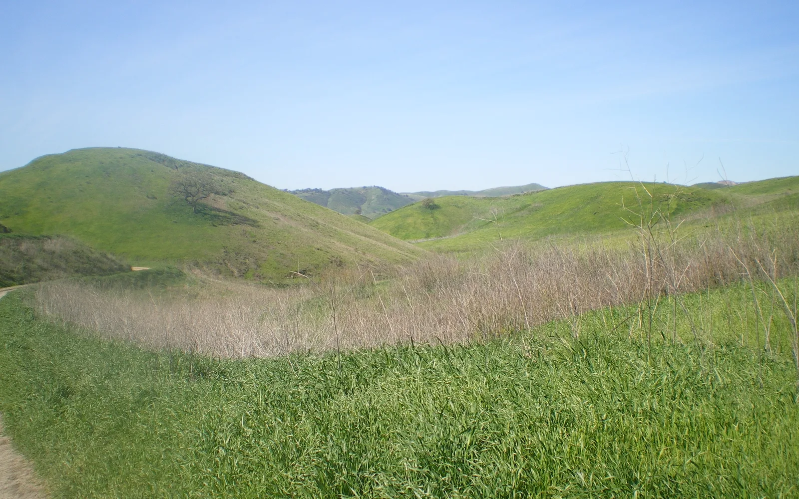 Rolling grassland hills covered in native chaparral and oak woodland vegetation in the Simi Hills region of Southern California